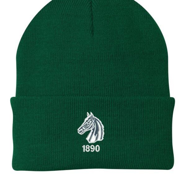 Philadelphia Golf Club Winter Beanie Knit Cap Thumbnail