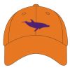 Youth Pro Mesh Cap Thumbnail