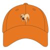 Youth Pro Mesh Cap Thumbnail