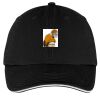 Washed Twill Sandwich Bill Cap Thumbnail