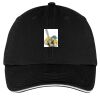 Washed Twill Sandwich Bill Cap Thumbnail