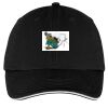 Washed Twill Sandwich Bill Cap Thumbnail