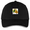 Washed Twill Sandwich Bill Cap Thumbnail