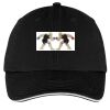 Washed Twill Sandwich Bill Cap Thumbnail