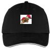 Washed Twill Sandwich Bill Cap Thumbnail