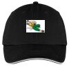 Washed Twill Sandwich Bill Cap Thumbnail