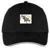 Washed Twill Sandwich Bill Cap Thumbnail