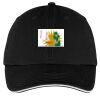 Washed Twill Sandwich Bill Cap Thumbnail