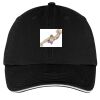 Washed Twill Sandwich Bill Cap Thumbnail