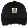 Washed Twill Sandwich Bill Cap Thumbnail