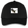 Washed Twill Sandwich Bill Cap Thumbnail