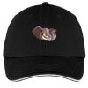 Washed Twill Sandwich Bill Cap Thumbnail