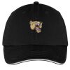 Washed Twill Sandwich Bill Cap Thumbnail