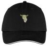 Washed Twill Sandwich Bill Cap Thumbnail