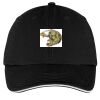 Washed Twill Sandwich Bill Cap Thumbnail