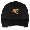 Washed Twill Sandwich Bill Cap Thumbnail