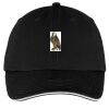 Washed Twill Sandwich Bill Cap Thumbnail