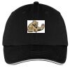 Washed Twill Sandwich Bill Cap Thumbnail