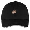 Washed Twill Sandwich Bill Cap Thumbnail
