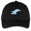 Washed Twill Sandwich Bill Cap Thumbnail