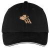 Washed Twill Sandwich Bill Cap Thumbnail