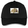 Washed Twill Sandwich Bill Cap Thumbnail
