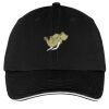 Washed Twill Sandwich Bill Cap Thumbnail