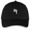 Washed Twill Sandwich Bill Cap Thumbnail