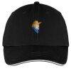 Washed Twill Sandwich Bill Cap Thumbnail