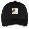 Washed Twill Sandwich Bill Cap Thumbnail