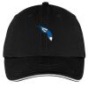 Washed Twill Sandwich Bill Cap Thumbnail