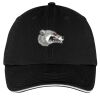 Washed Twill Sandwich Bill Cap Thumbnail