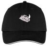 Washed Twill Sandwich Bill Cap Thumbnail
