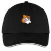 Washed Twill Sandwich Bill Cap Thumbnail