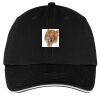 Washed Twill Sandwich Bill Cap Thumbnail