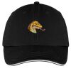 Washed Twill Sandwich Bill Cap Thumbnail
