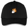 Washed Twill Sandwich Bill Cap Thumbnail