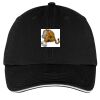 Washed Twill Sandwich Bill Cap Thumbnail