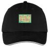 Washed Twill Sandwich Bill Cap Thumbnail