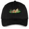 Washed Twill Sandwich Bill Cap Thumbnail