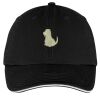 Washed Twill Sandwich Bill Cap Thumbnail