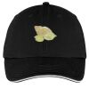 Washed Twill Sandwich Bill Cap Thumbnail