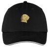 Washed Twill Sandwich Bill Cap Thumbnail