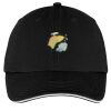 Washed Twill Sandwich Bill Cap Thumbnail