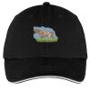 Washed Twill Sandwich Bill Cap Thumbnail