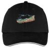 Washed Twill Sandwich Bill Cap Thumbnail