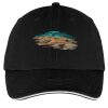 Washed Twill Sandwich Bill Cap Thumbnail