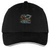 Washed Twill Sandwich Bill Cap Thumbnail