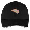 Washed Twill Sandwich Bill Cap Thumbnail
