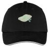 Washed Twill Sandwich Bill Cap Thumbnail